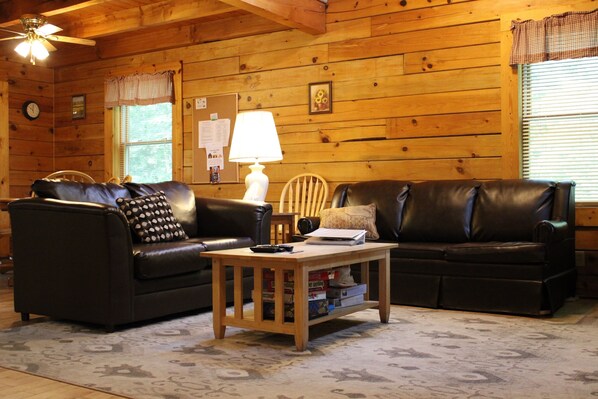 TV, fireplace, DVD player, books