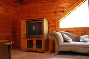 TV, fireplace, DVD player, books