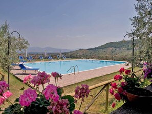 Alberca