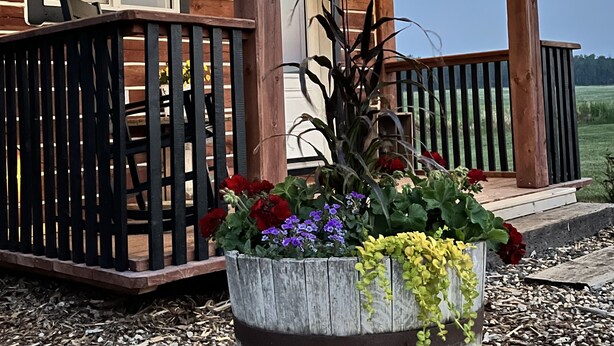 A wooden cabin with a porch decorated with string lights, a wooden barrel planter with flowers, and a view of the surrounding landscape. - Whispering Winds Cabin - cozy double loft cabin (Pickardville)