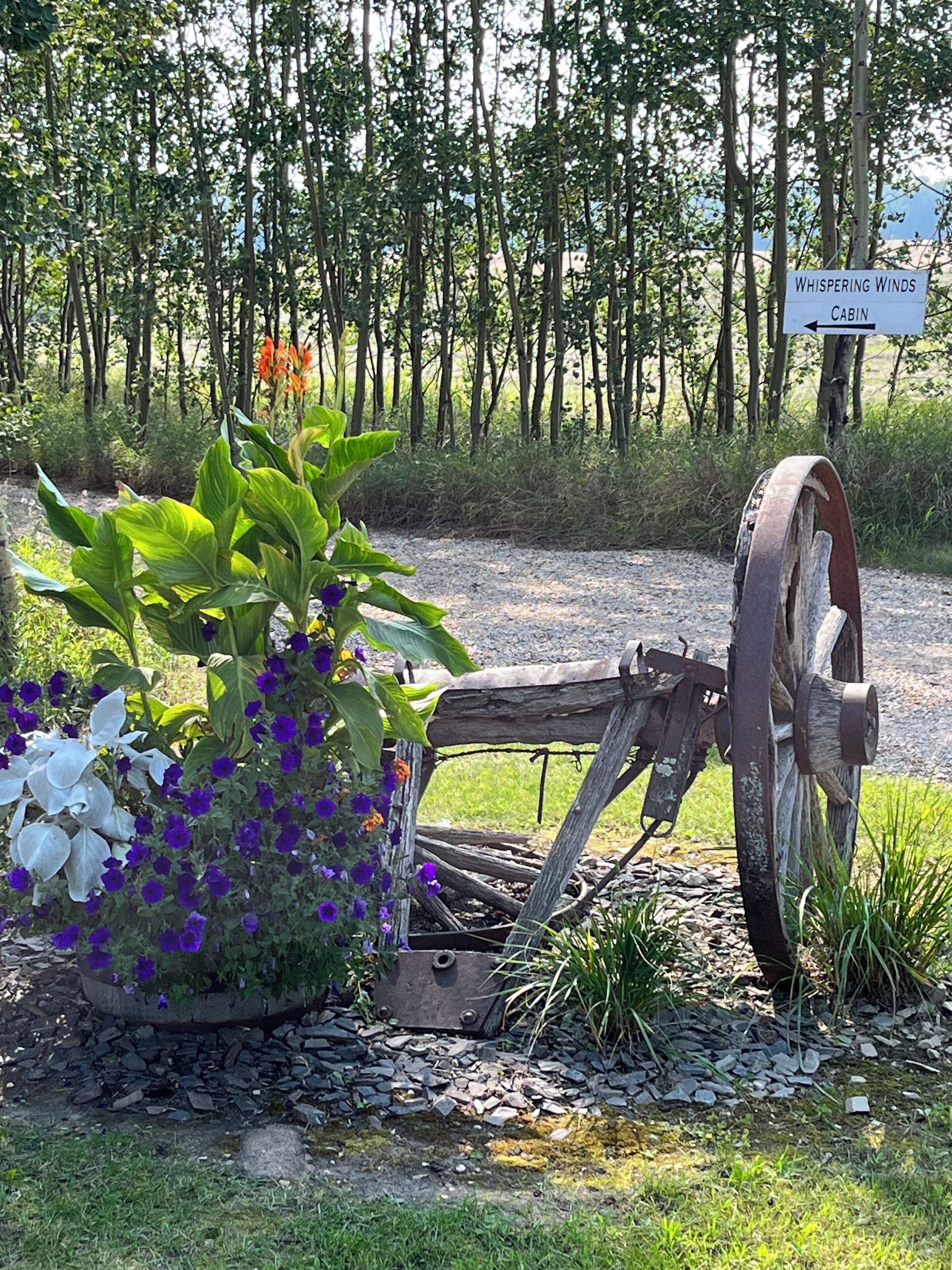 Enceinte de l’hébergement