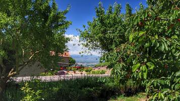 Un giardino con un muro in pietra, piante in vaso e vista sulle montagne lontane.