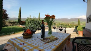 An outdoor dining table set with a checkered tablecloth, a bottle of wine, glasses, a basket of fruit, and a vase with flowers.