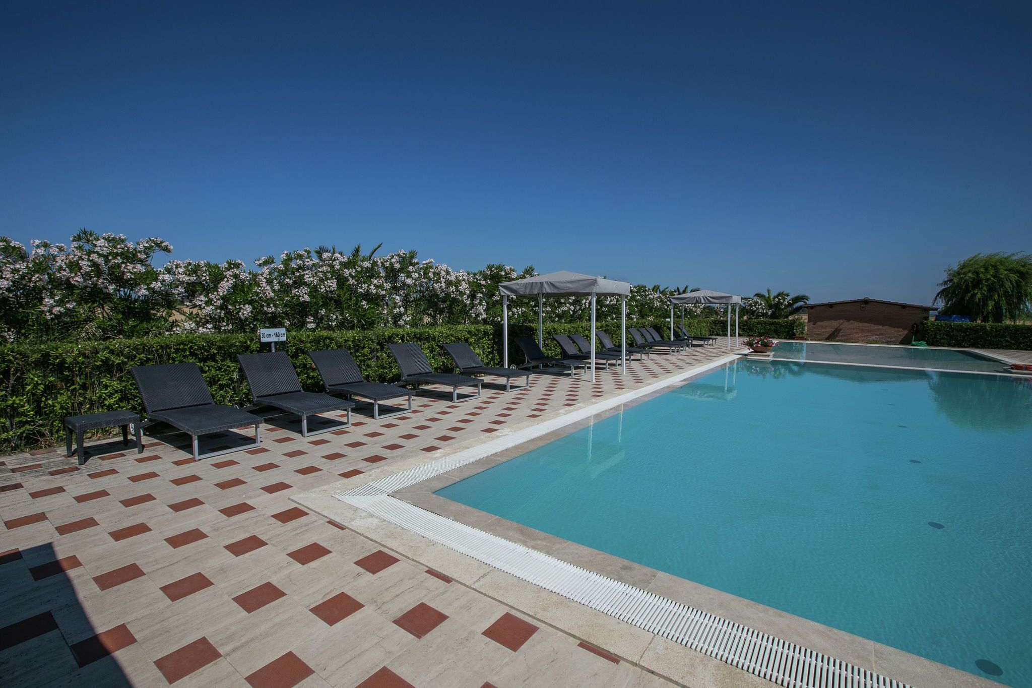 Un espace piscine doté de chaises longues et de parasols, entouré de verdure et surplombé d’un ciel dégagé.