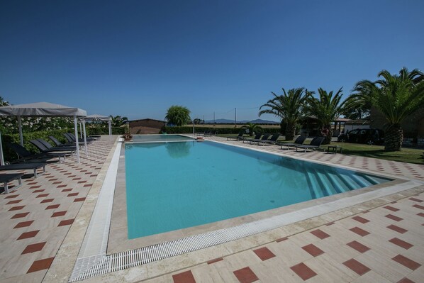 Una piscina rectangular con solárium empedrado, rodeada de sillas de descanso y sombrillas, con palmeras y un cielo despejado al fondo.