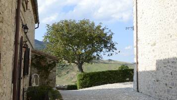 Ărea da propriedade