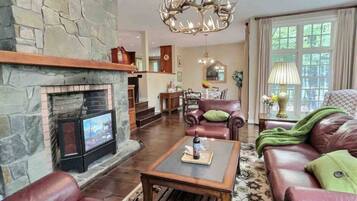 Smart TV, fireplace, video games, books