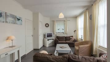 電視、DVD 播放機