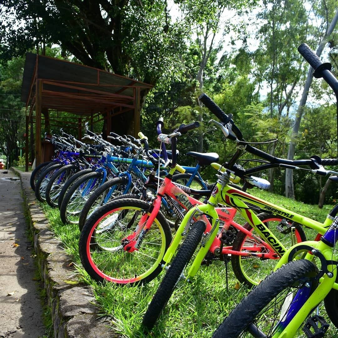 A row of bicycles parked along a stone pathway in a park setting.
