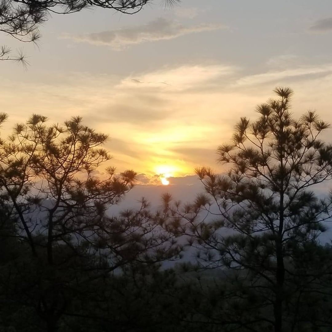 Pôr do sol com céu limpo e árvores ao primeiro plano.