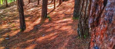 외부 세부 사진