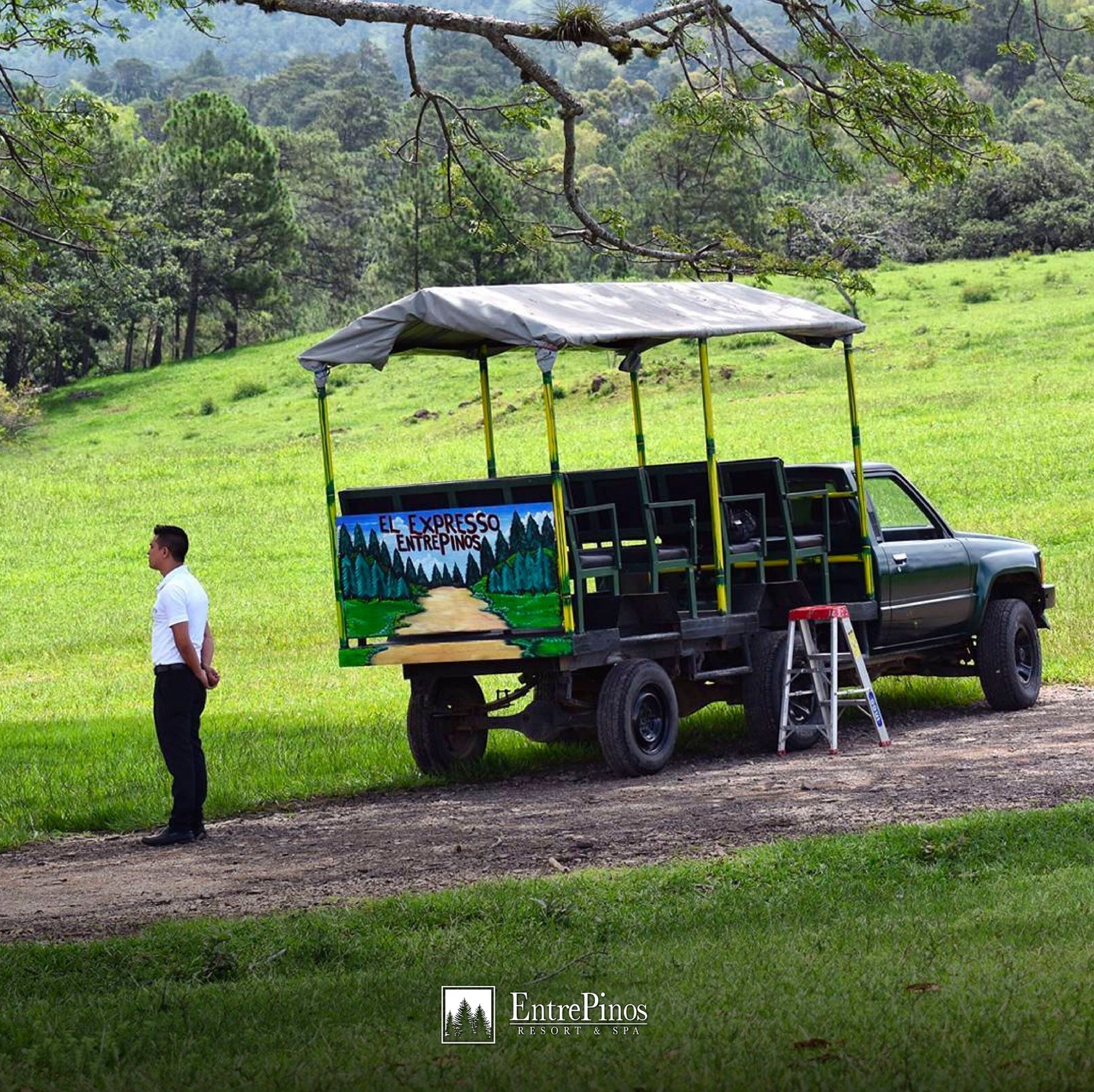 A green utility vehicle with a covered cargo area, parked on a dirt path in a grassy area with trees in the background.