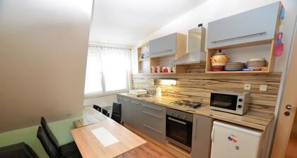 Ferienhaus Medenec nahe Alšovka Skipiste