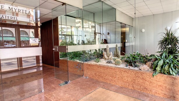 Un hall d’entrée moderne avec une entrée en verre, un comptoir d’accueil et un petit jardin intérieur agrémenté de cactus et d’autres plantes.