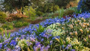 Property grounds - Penybryn - Overlooking the Towy valley (Llandeilo)