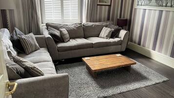 Smart TV, fireplace, books