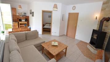 Télévision, cheminée