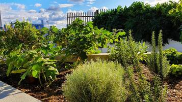 Apartment, Accessible