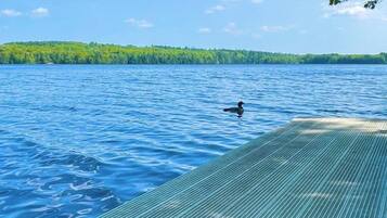 A wooden deck extending over a body of water with a forest in the background.