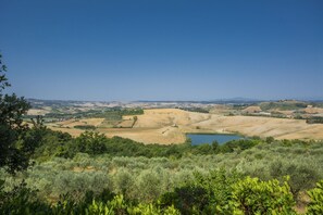 المنطقة المحيطة بالمنشأة