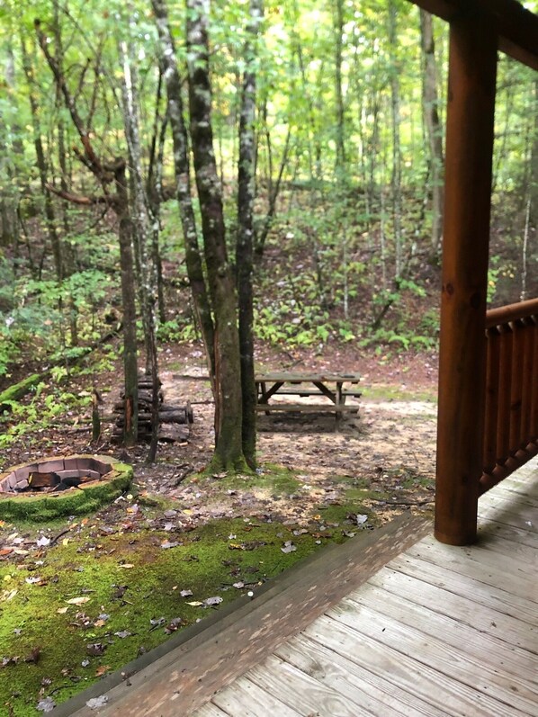 Une terrasse en bois qui mène à une zone boisée, avec une table de pique-nique et un foyer.