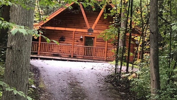 Une cabane en bois dotée d’un porche, entourée d’une forêt dense.