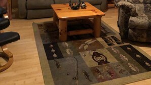 Un salon chaleureux avec un plancher en bois, un canapé vert, une table basse en bois, un tapis à motifs et un fauteuil à motifs camouflage.