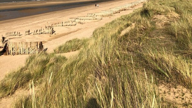 Ein Strand mit Holzzaun und Dünen.