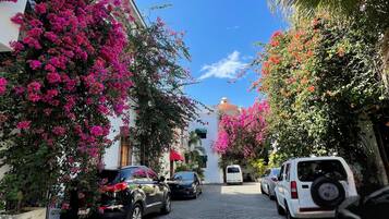 Vistas desde la habitación