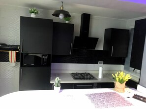 Kühlschrank, Mikrowelle, Ofen, Herdplatte