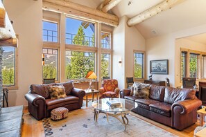 Smart TV, fireplace, DVD player, books