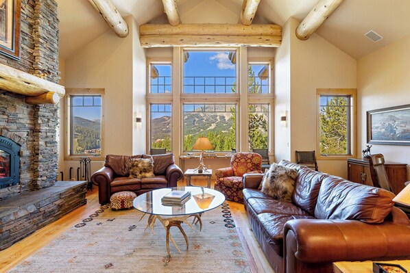 Smart TV, fireplace, DVD player, books