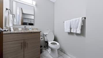 A modern bathroom with a toilet, sink, and vanity.