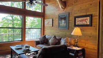 Smart TV, chimenea, libros, videoteca