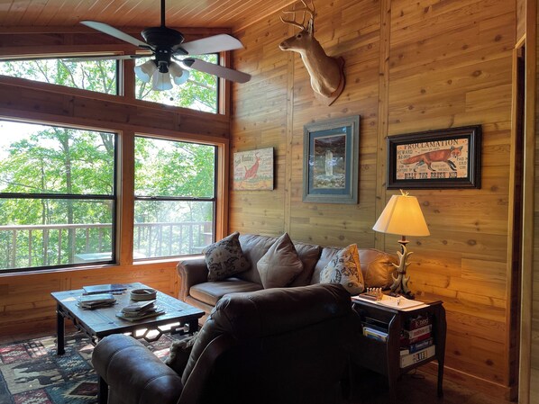 Smart TV, fireplace, books, video library