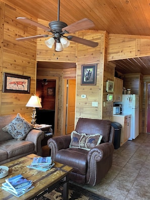 Smart TV, fireplace, books, video library