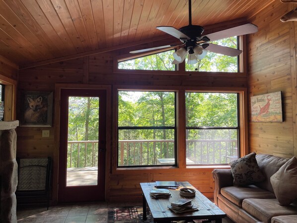 Smart TV, fireplace, books, video library