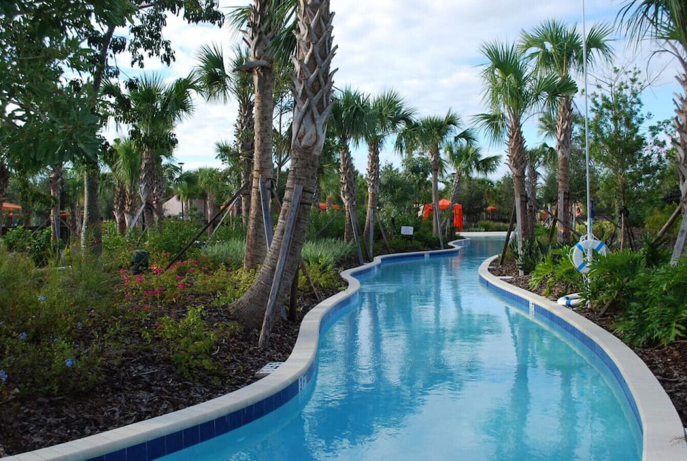 Une piscine à bords incurvés, entourée de palmiers et de plantes tropicales.