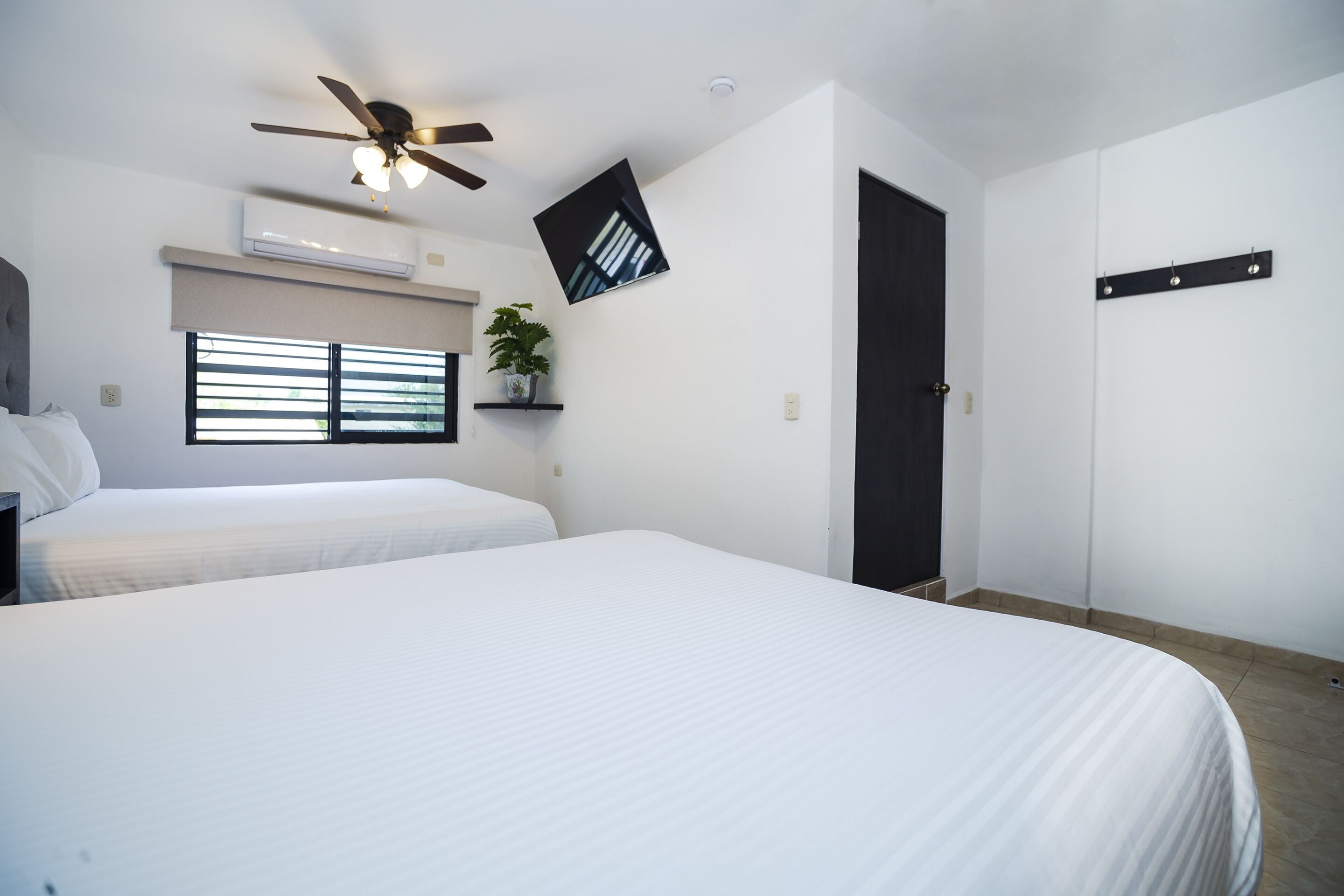 A bedroom with two beds, a ceiling fan, an air conditioner, a TV mounted on the wall, a door, and a small shelf with a plant.