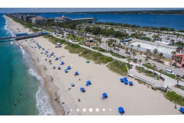 An aerial view of a beach with rows of blue umbrellas, a pier, and buildings in the background.