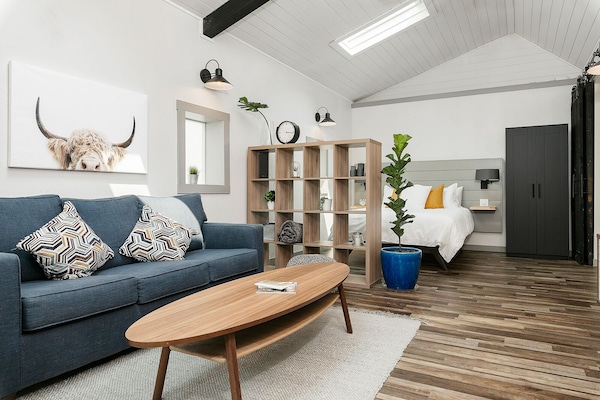 Living Area - Sleeper Sofa