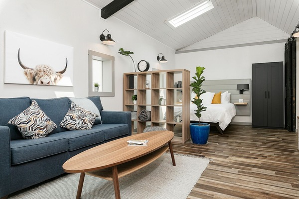 Living Area - Sleeper Sofa