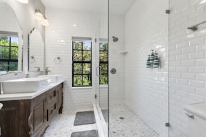 Combined shower/tub, hair dryer