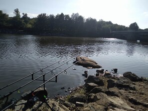 A fishing rod set up on a rocky shore by a calm lake with trees in the background. - 4* gite close to Puy du Fou open all year round (Chavagnes-en-Paillers)