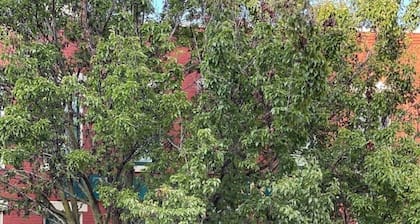 Downtown Historic Warehouse District Lofts 303