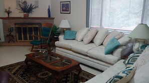 Televisor, llar de foc, reproductor de DVD i llibres 