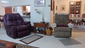 Televisor, llar de foc, reproductor de DVD i llibres 