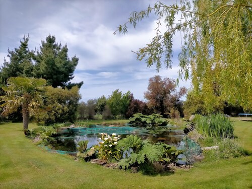 In the Heart of the Vines