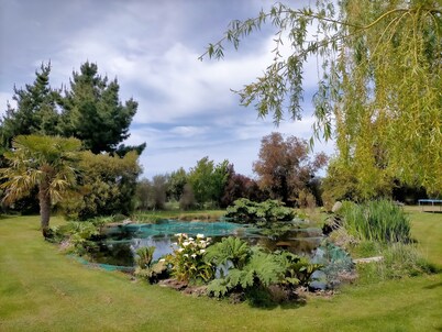 In the Heart of the Vines