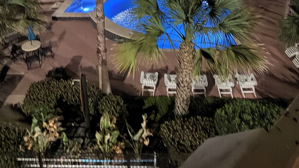 Zona de piscina con sillones de descanso, una palmera y un edificio con balcones.